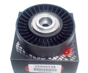 25500938 A.B.A 