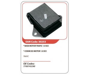 30253 ASAM 