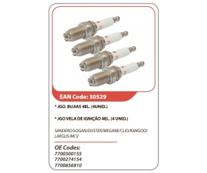 30529 ASAM 
