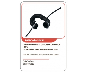 30873 ASAM 