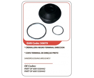 30879 ASAM 