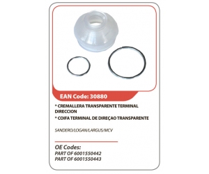 30880 ASAM 