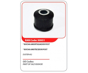 30951 ASAM 