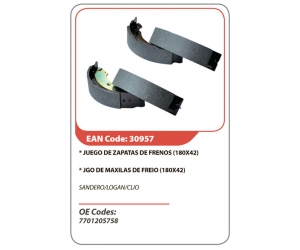 30957 ASAM 