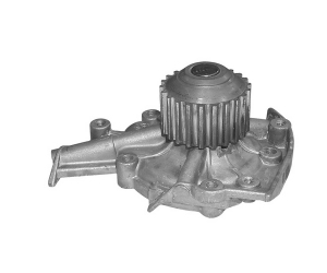 55069 ASAM 