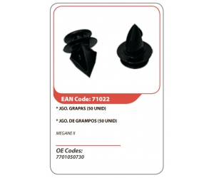 71022 ASAM 