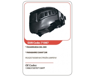 71087 ASAM 