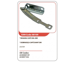 80109 ASAM 