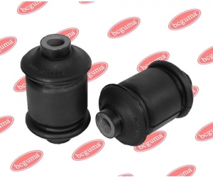 BC0261 BCGUMA 