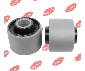 BC0265 BCGUMA 