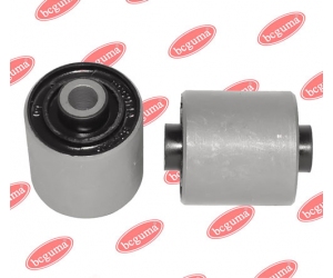 BC0405 BCGUMA 