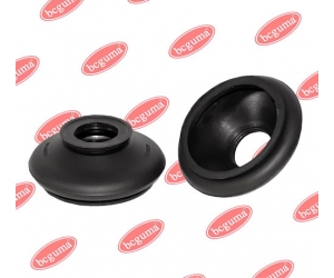 BC0829 BCGUMA 