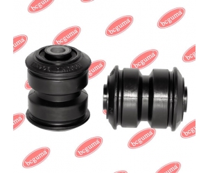 BC1338 BCGUMA 