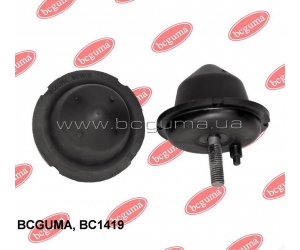 BC1419 BCGUMA 