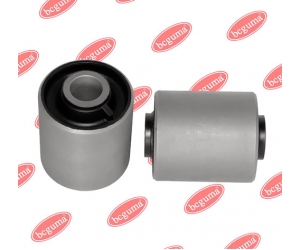 BC1604 BCGUMA 