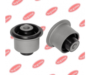 BC1704 BCGUMA 