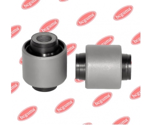 BC1707 BCGUMA 
