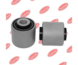 BC1709 BCGUMA 