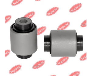 BC2203 BCGUMA 
