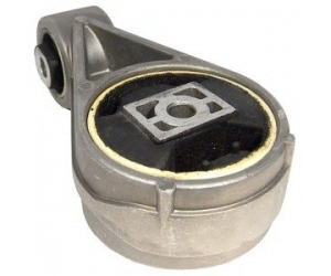 TEM005 DELPHI 