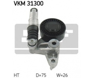 VKM 31300 SKF 